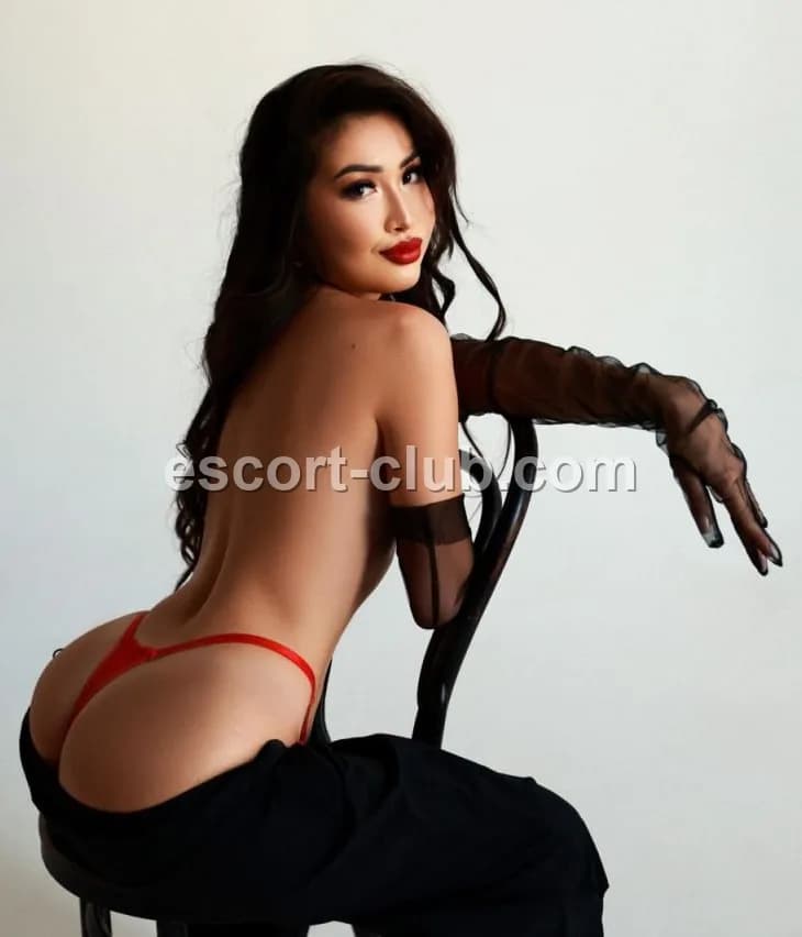 Adelina — escort in Leeds