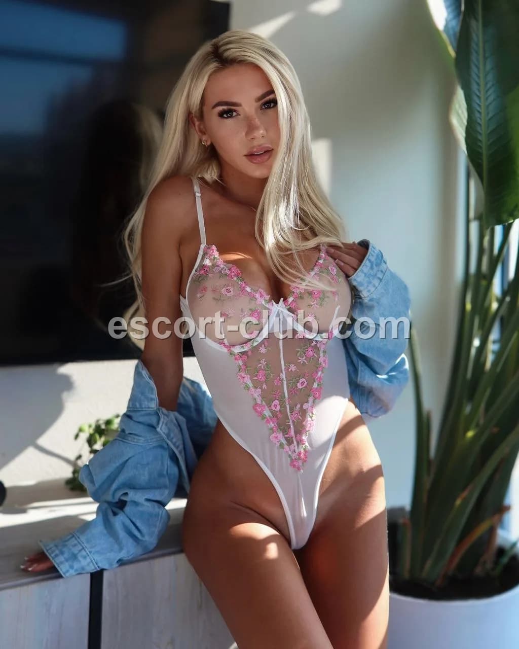 Anastasiya — Liverpool escort photo 2