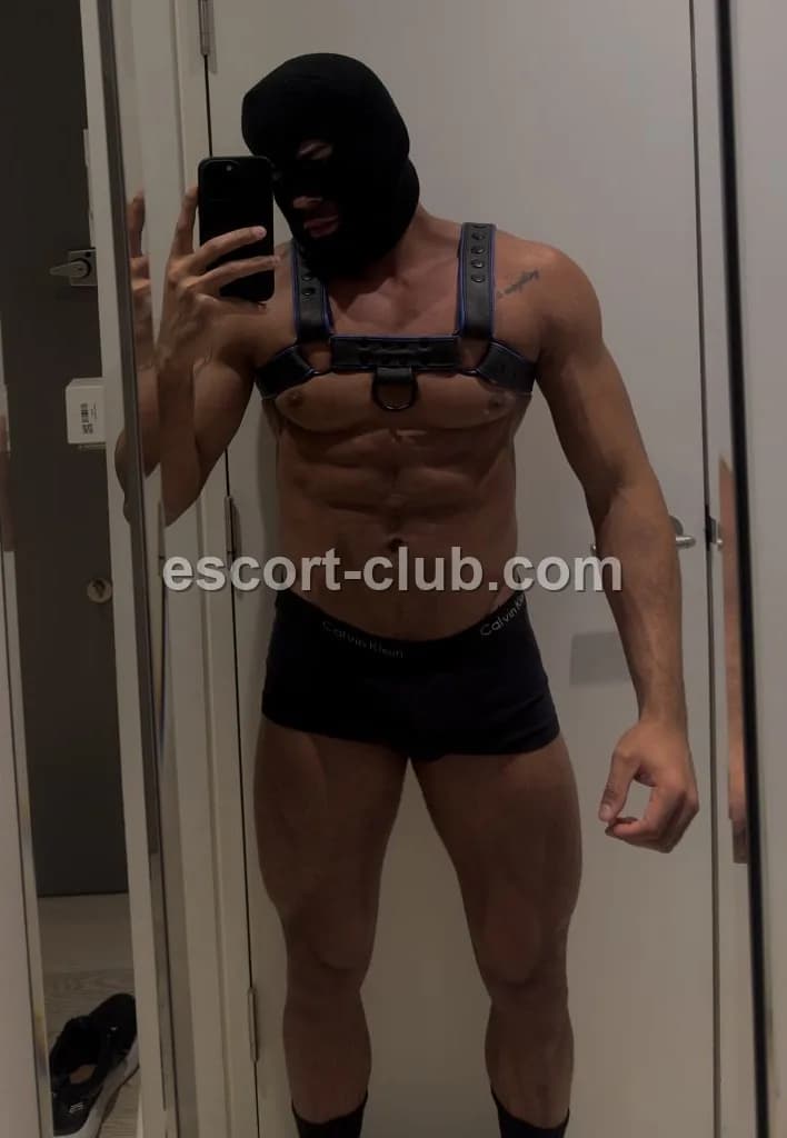Armando — Belfast escort photo 2