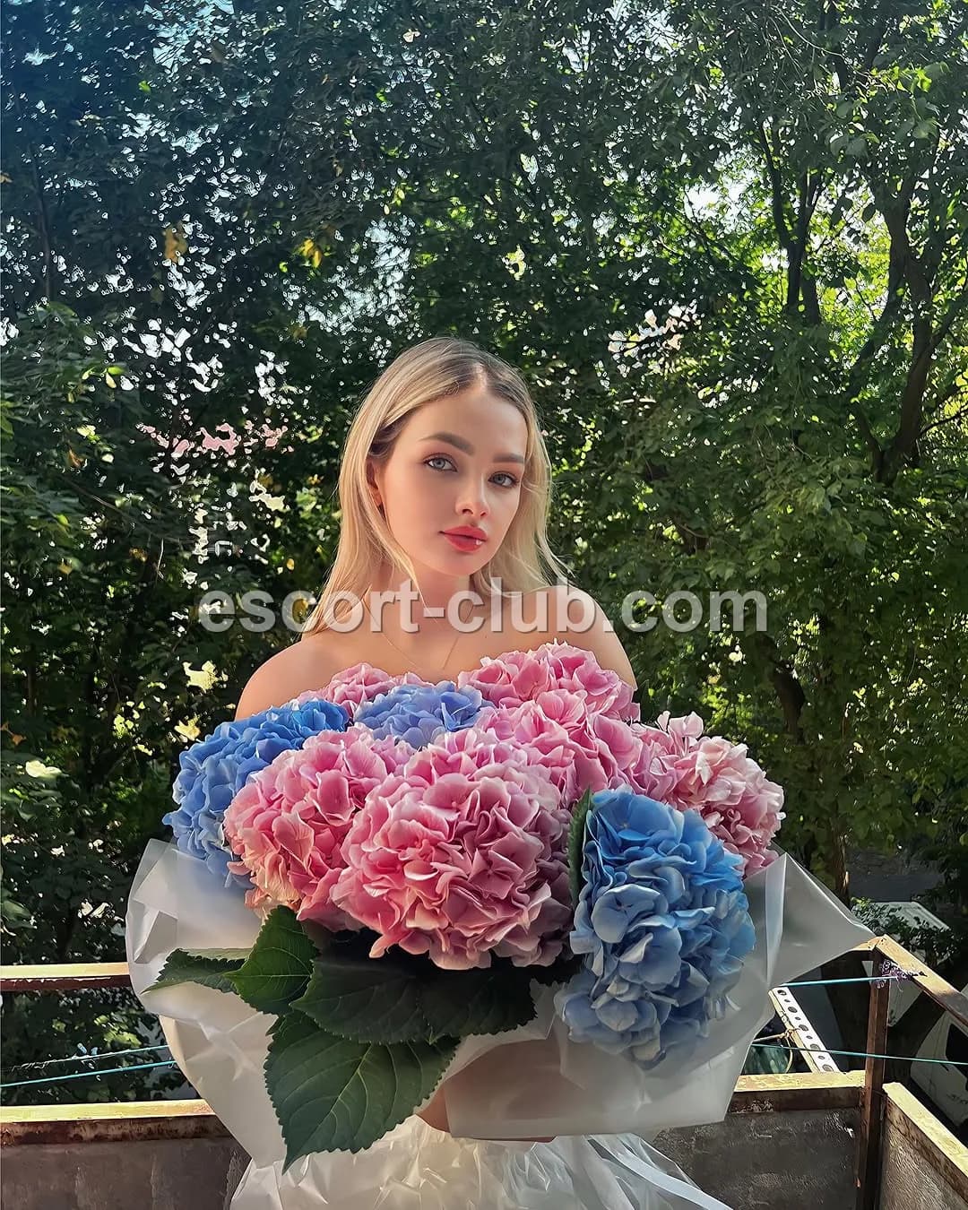 Charlotte — Birmingham escort photo 6