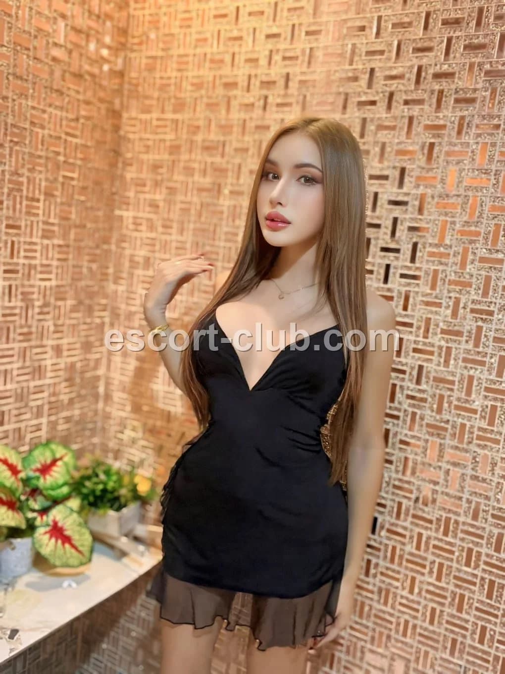 Elise — escort in London