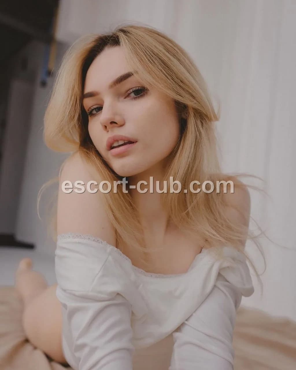 Eva — escort in Belfast