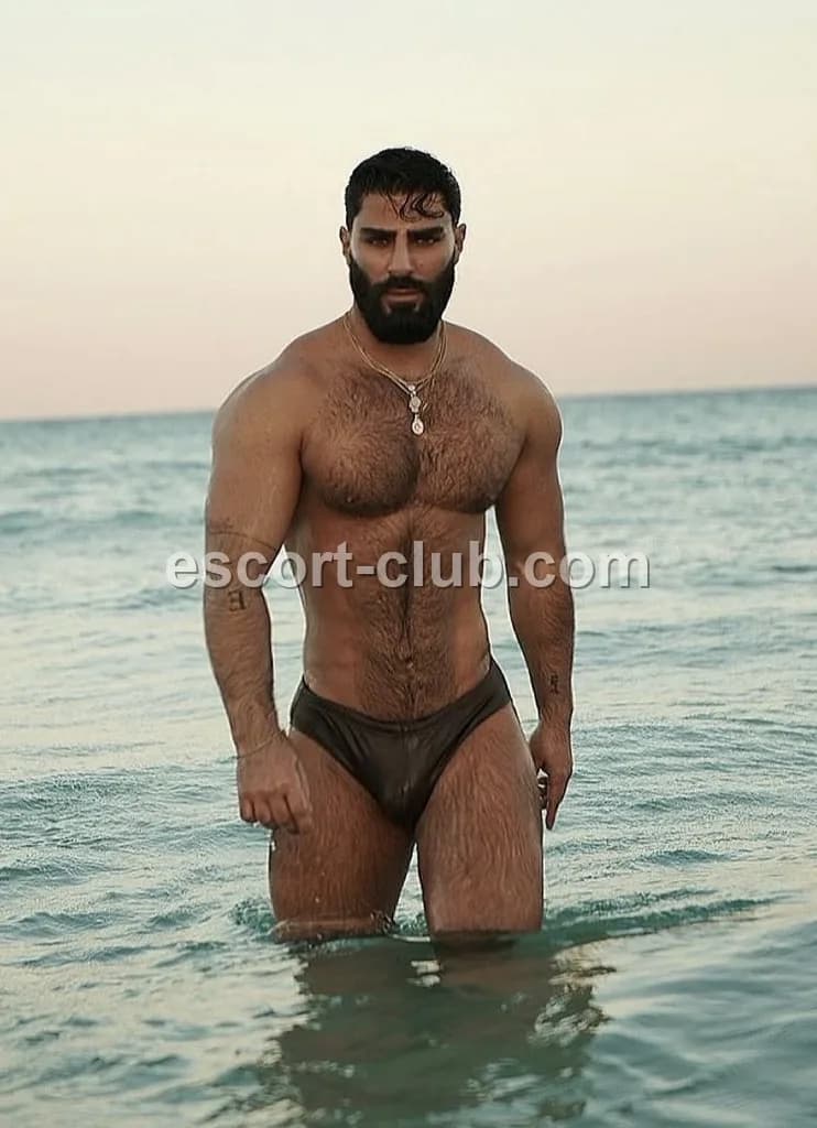 Hakan — Bristol escort photo 3
