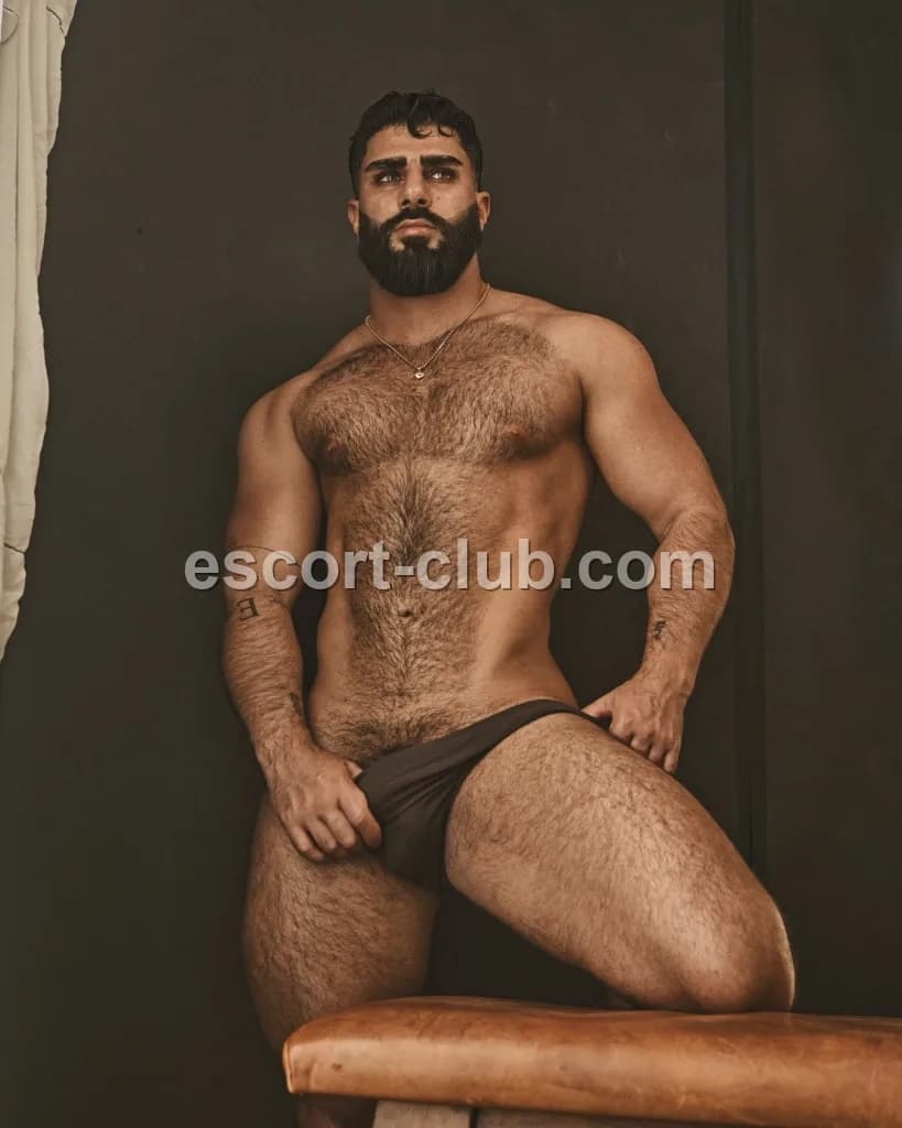 Hakan — Bristol escort photo 6