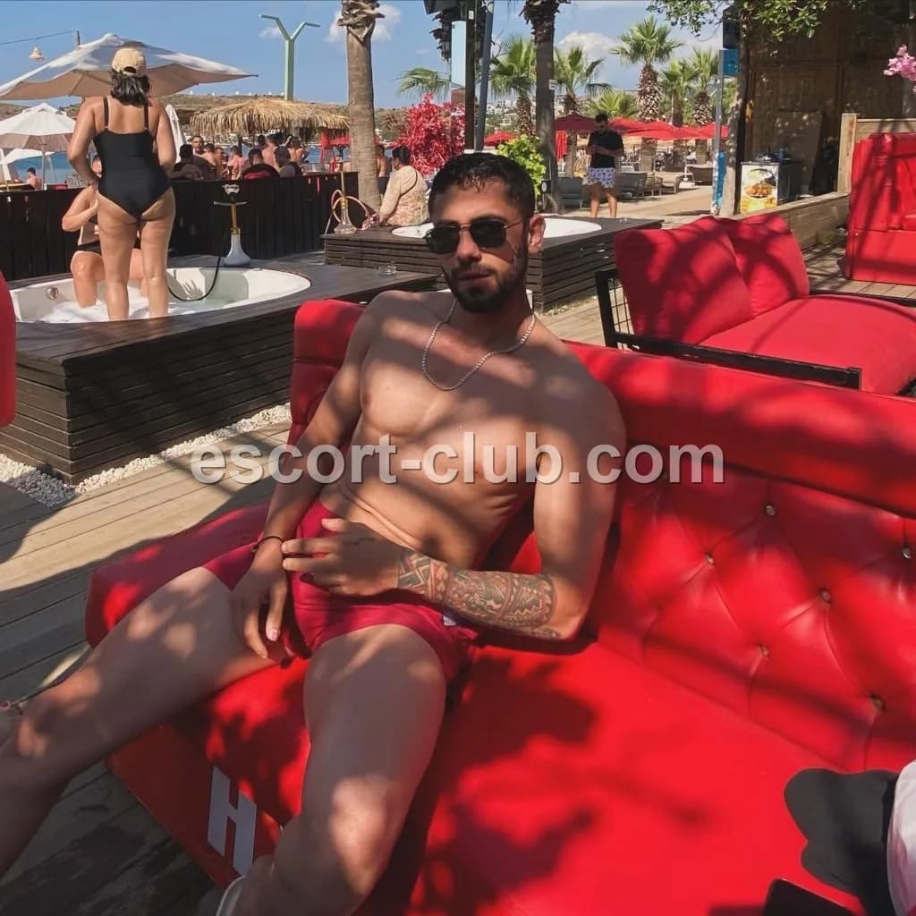 Hardy — escort in Bristol