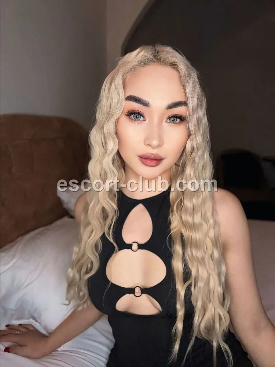 Harley — escort in Glasgow