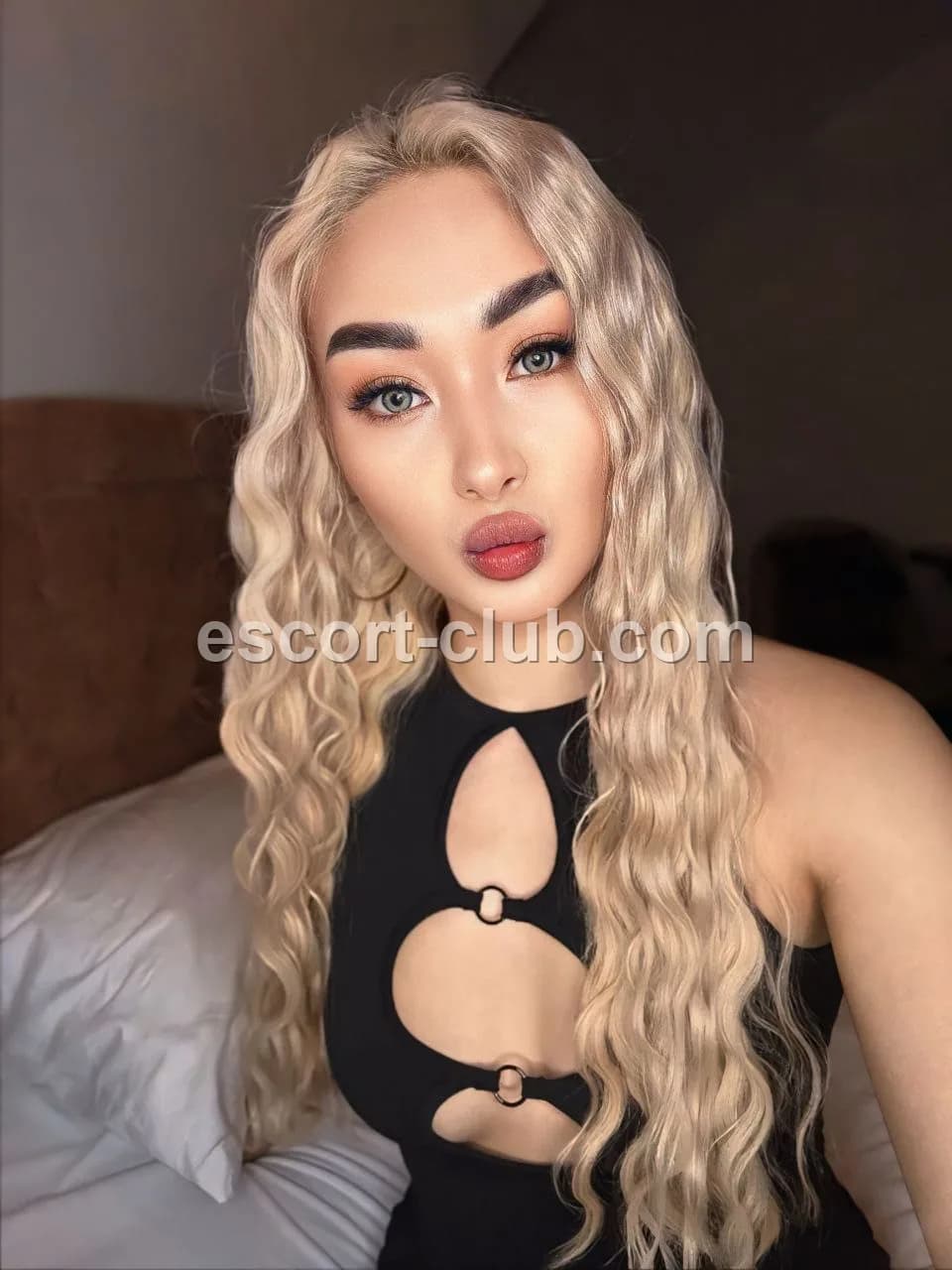 Harley — Glasgow escort photo 3