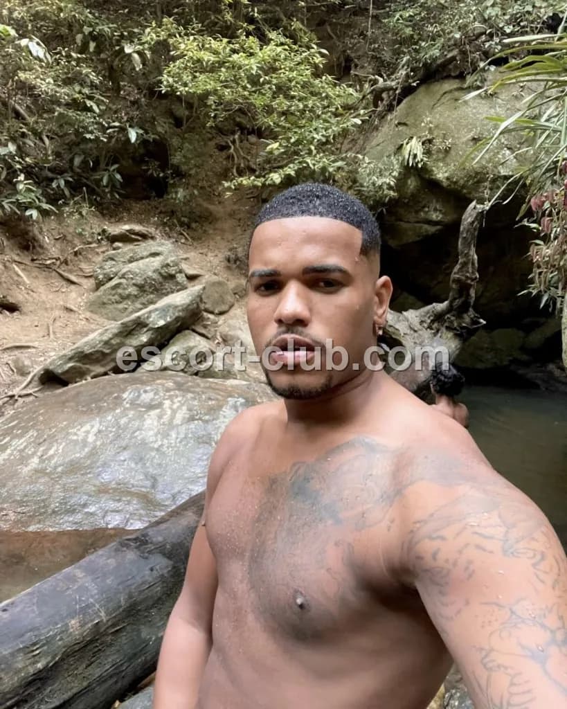 James — Bristol escort photo 2