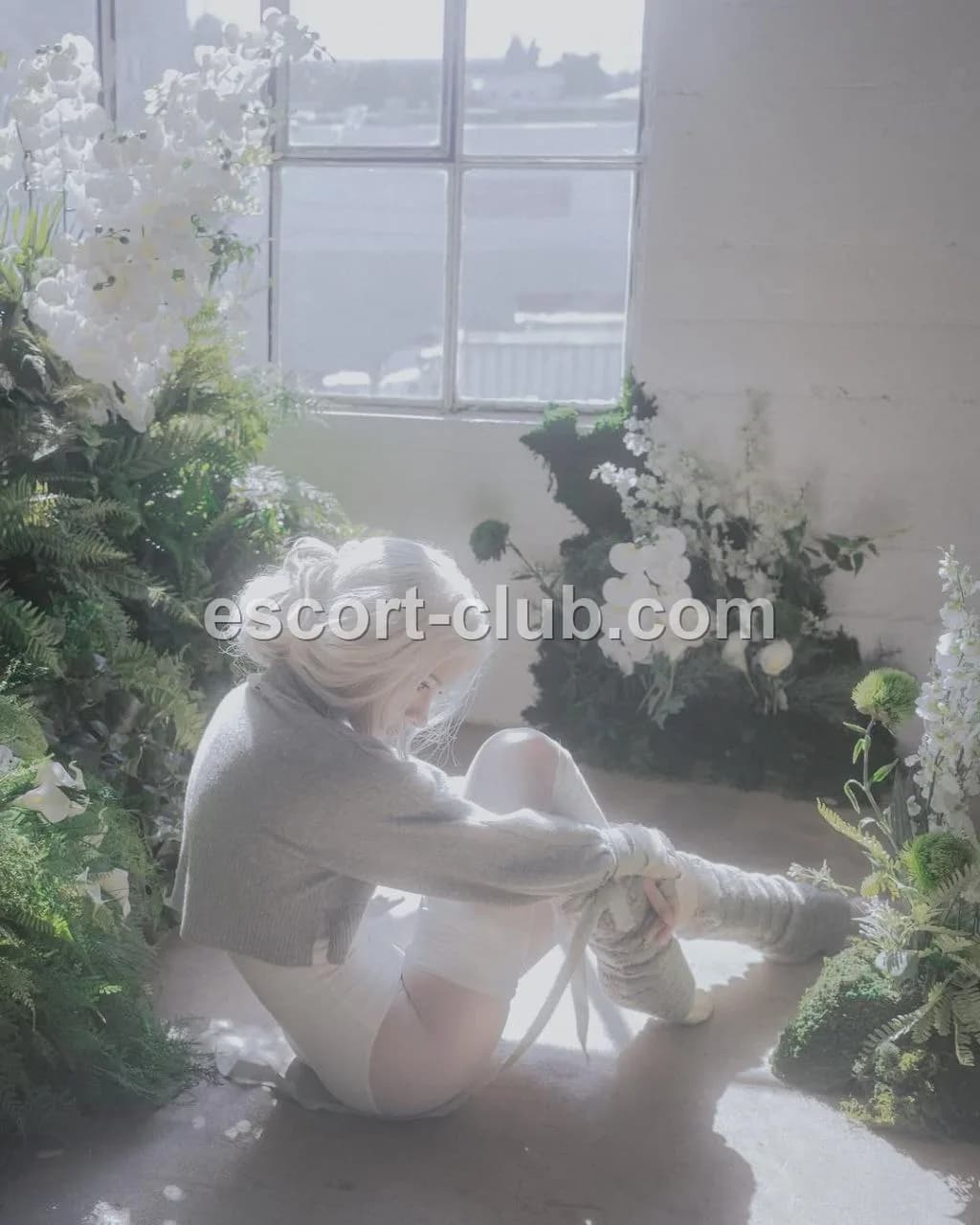 Kseniya — London escort photo 2