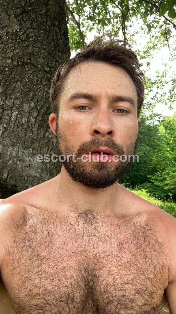 Lancelot — Bristol escort photo 2