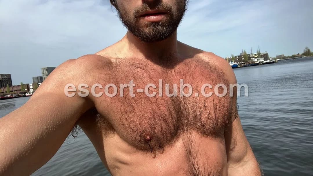 Lancelot — Bristol escort photo 6