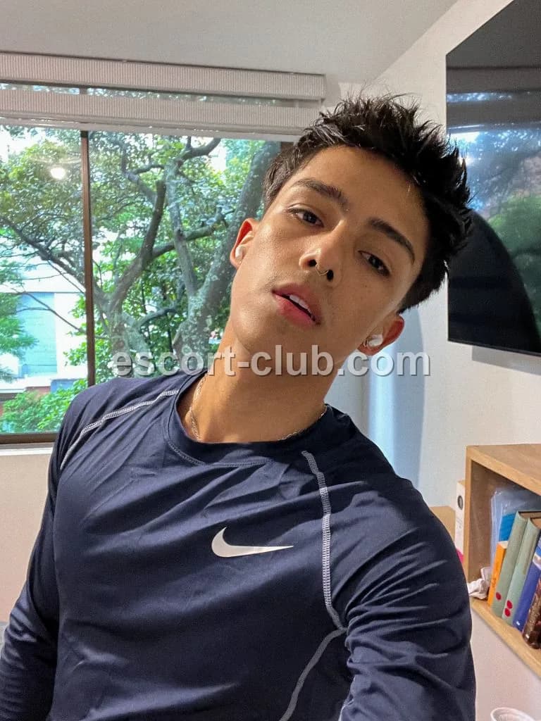 Lorenz — escort in Bristol