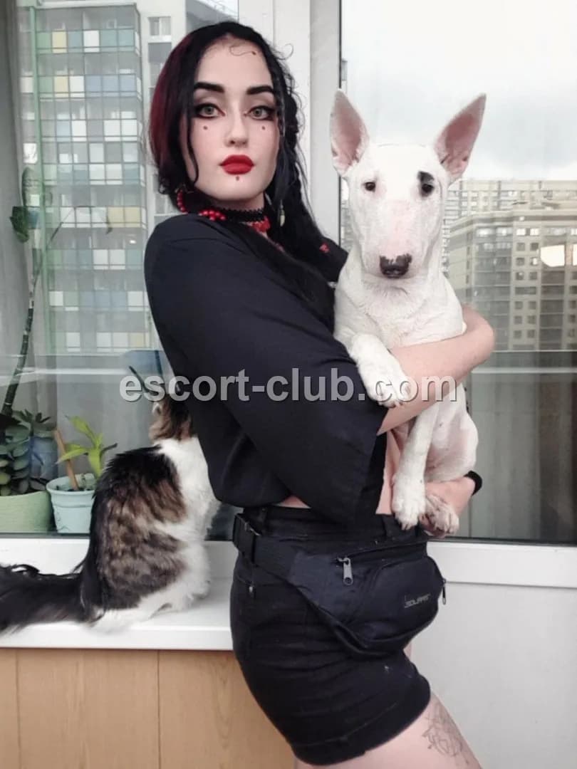 Luna — Aberdeen escort photo 5