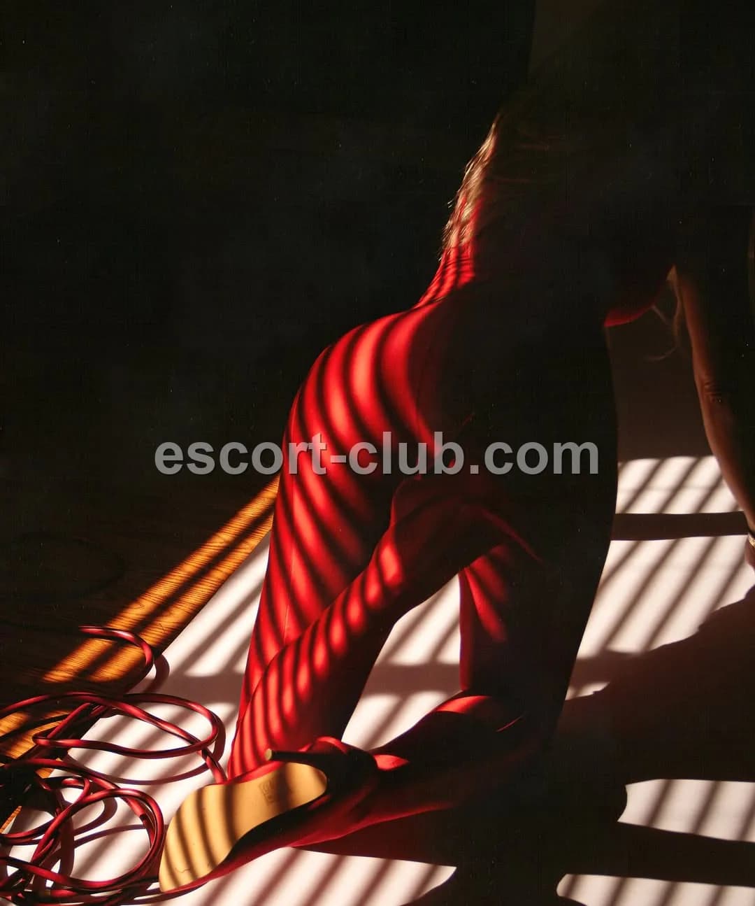 Milena — Edinburgh escort photo 5