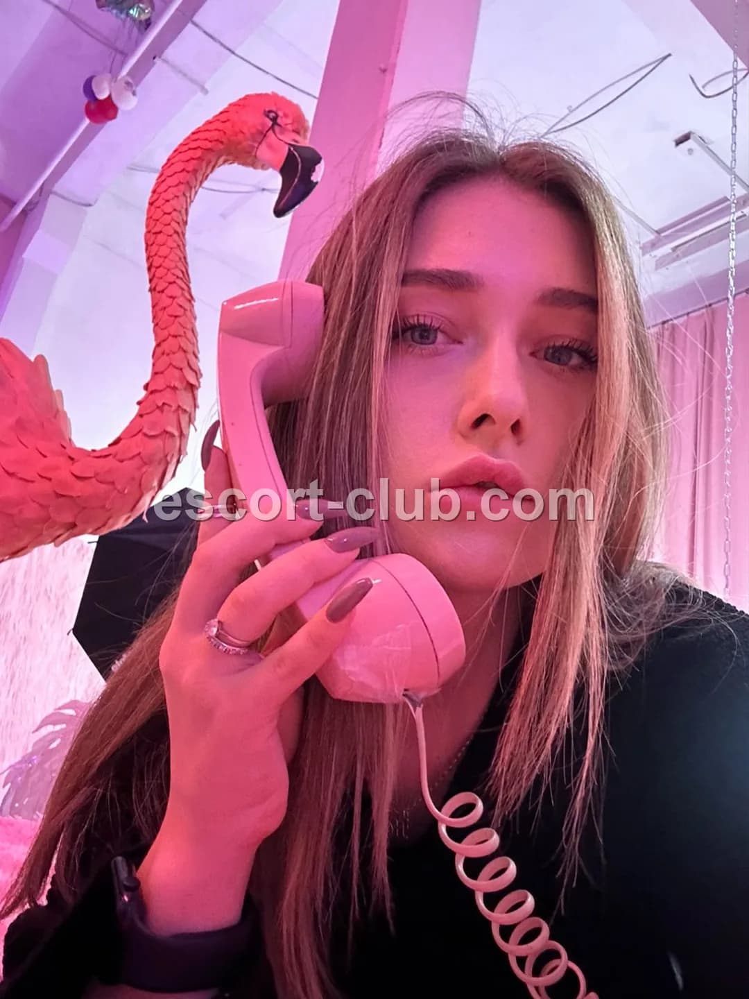 Nadine — Edinburgh escort photo 2