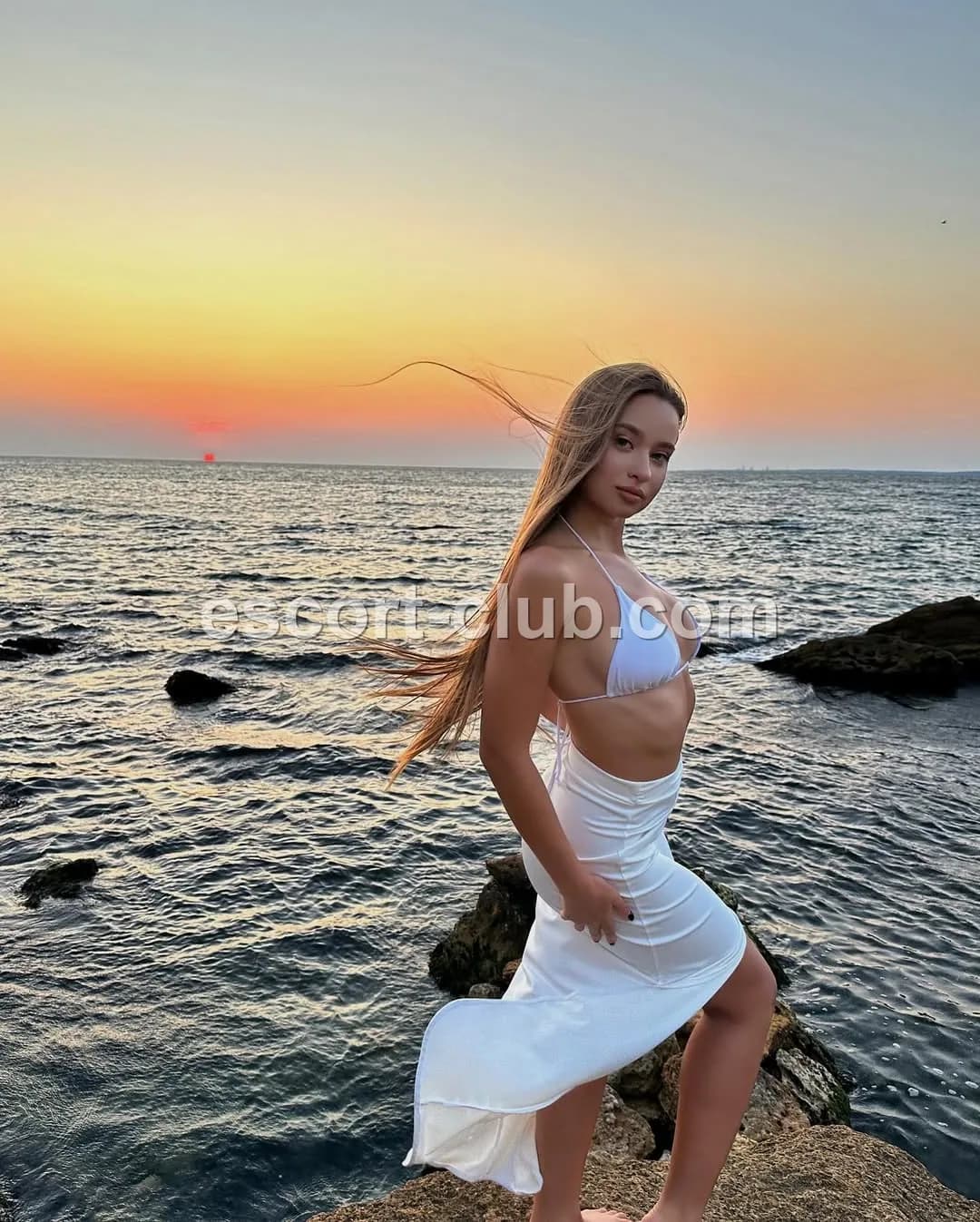 Noelle — Belfast escort photo 6