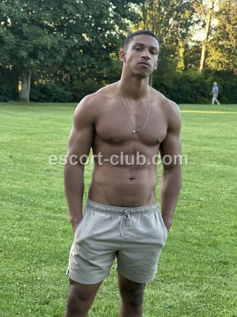 Sebastian — escort in Nottingham