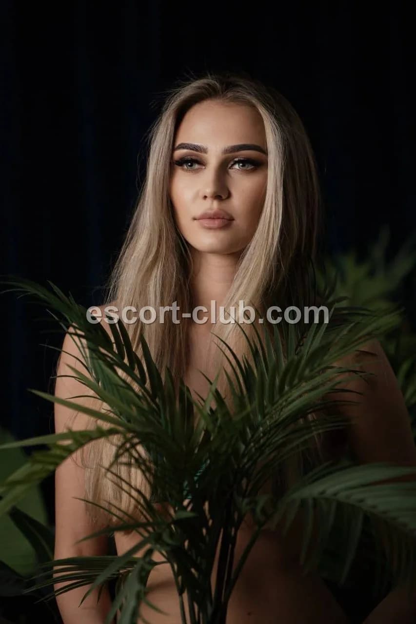 Solenne — Liverpool escort photo 4