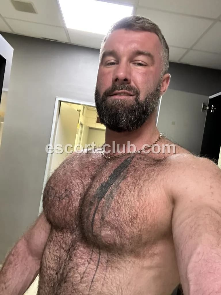 Stanis — Nottingham escort photo 3
