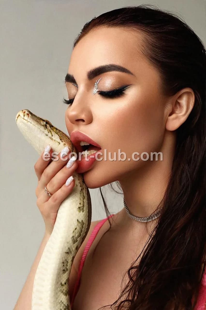 Thalia — Belfast escort photo 6