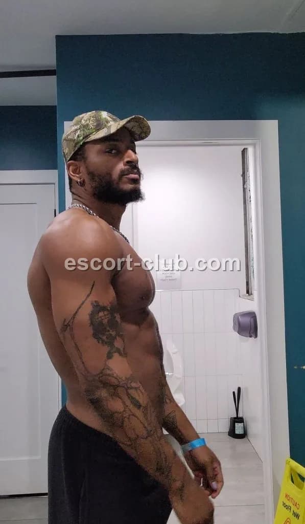 Vance — escort in Ajman