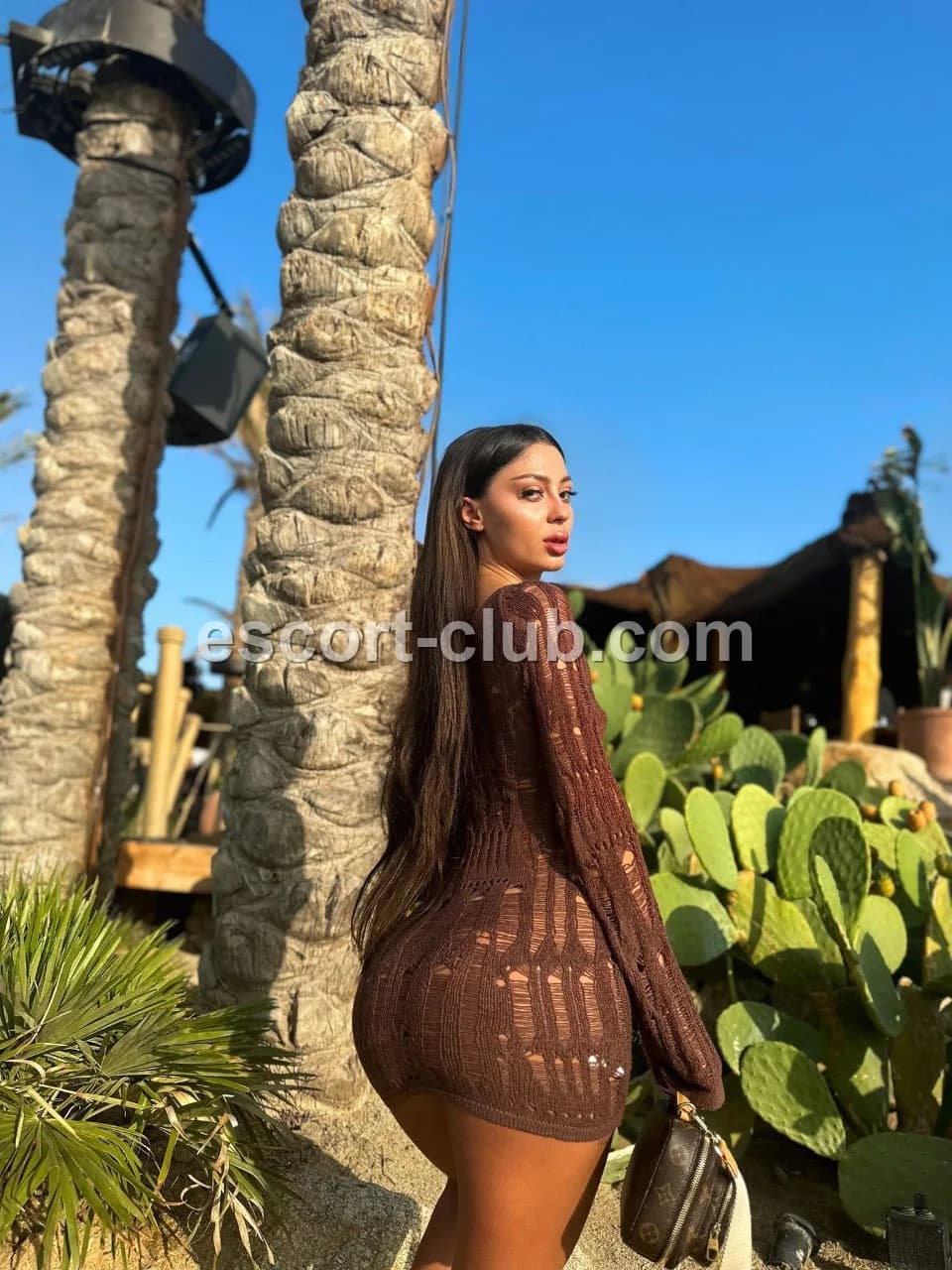 Violet — Sheffield escort photo 5