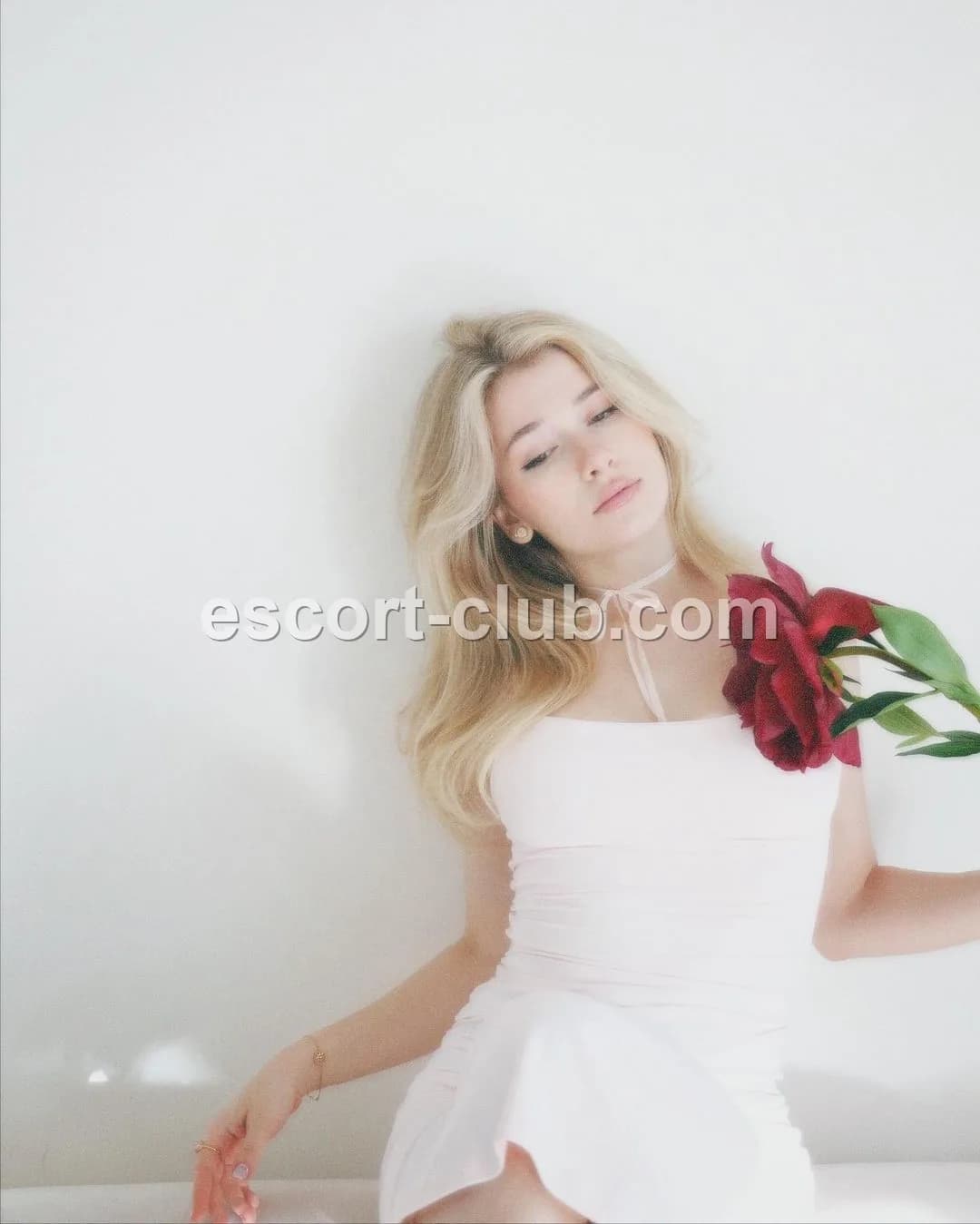 Vladaax — Abu Dhabi escort photo 4