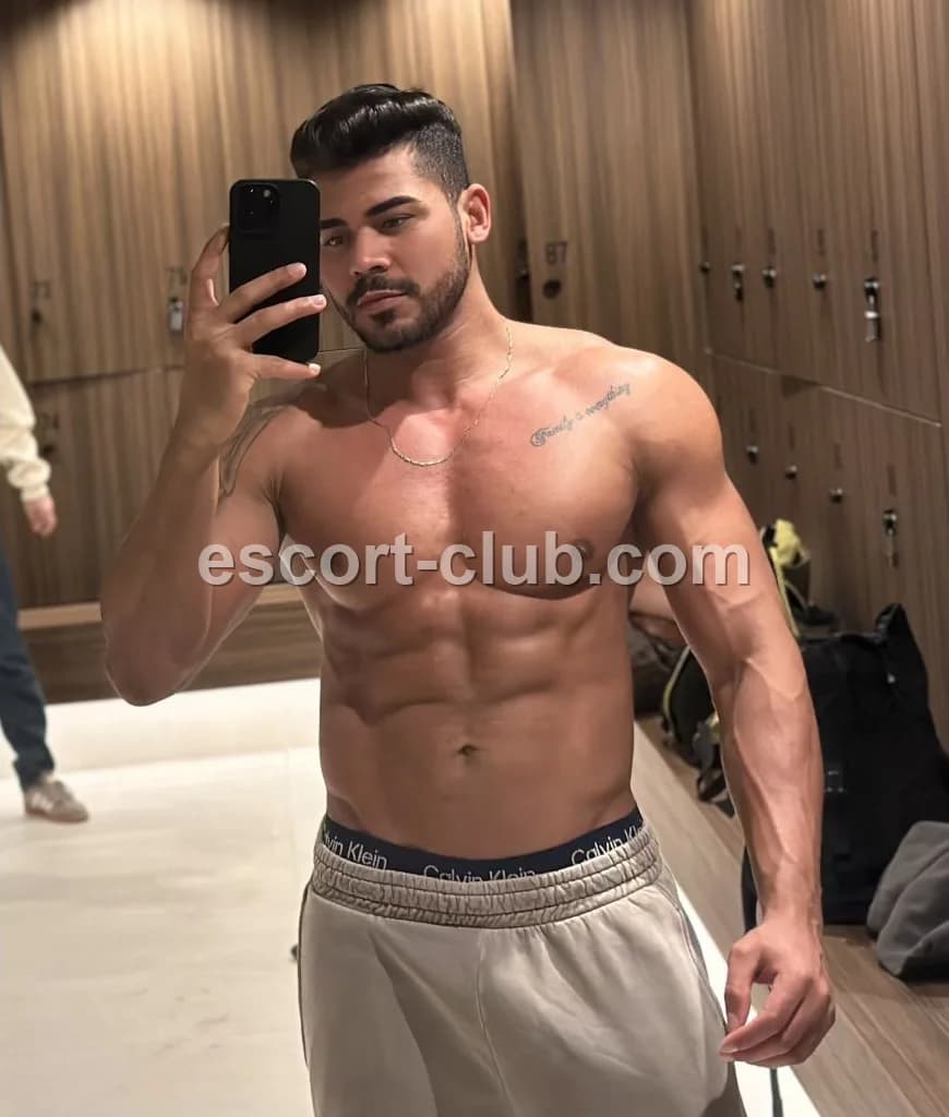 Armando — escort in Belfast